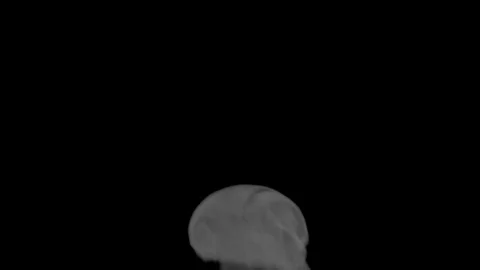 Smoke Stock Footage 127406595