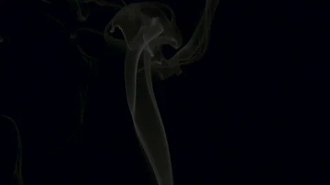 Smoke Stock Footage 135950209