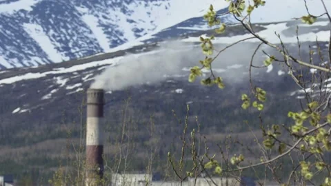 Smoke. 動画素材 194032301