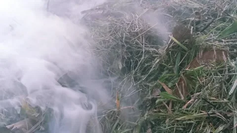 Smoke Stock Footage 225367650