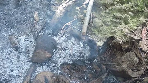 Smoke Stock-Footage 279178009