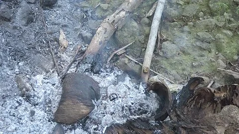 Smoke Stock-Footage 279178022