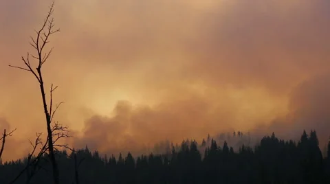 Smoke from forest fire Stock Footage 41832349
