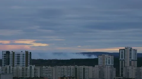 Smoke from a forest fire Stock Footage 167489941