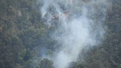 Smoke from forest fire Stock Footage 273020772