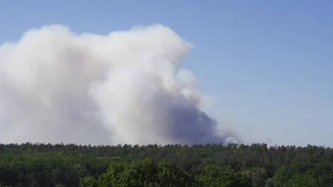 Smoke from a forest fire over a forest with green trees Stockbeeldmateriaal 276782659