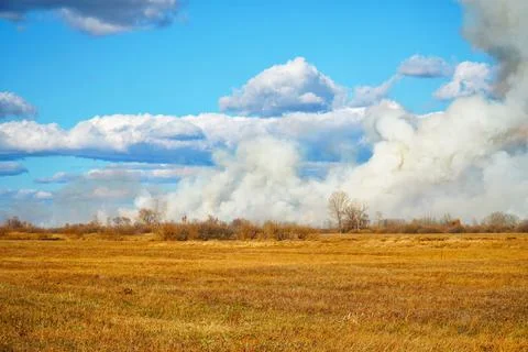 Smoke from a forest fire rises into the sky on sunny autumn day Foto stock