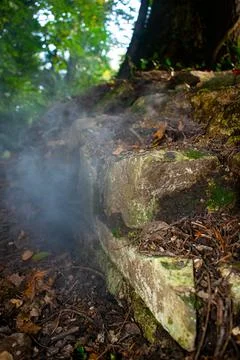 Smoke in the forest Stock Photos