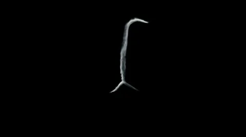 Smoke formation shaped as human lungs. Loopable 3d animation Stock Footage 32151134