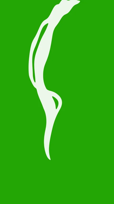Smoke in green background vertical Stock Footage 311114156