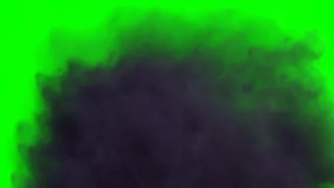 Smoke on green screen. Dense bluish smoke filling of space Stock Footage 81163177