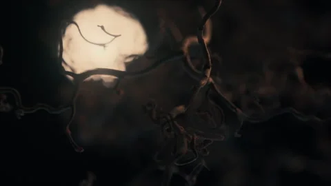 Smoke Gren b 7 Video stock 309671050