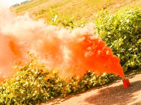 Smoke Grenade 스톡 사진