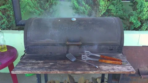Smoke From The Grill Stock Footage 159903020
