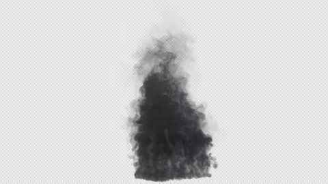 Smoke on Ground with Alpha Loop Stock Footage 201845083