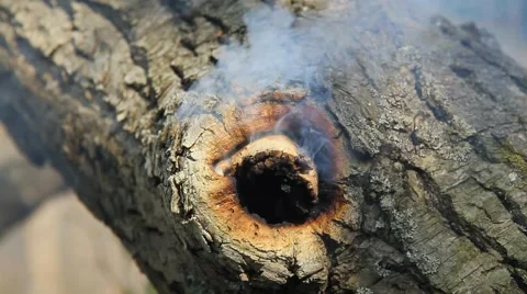 Smoke from a hollow Stock Footage 50448332
