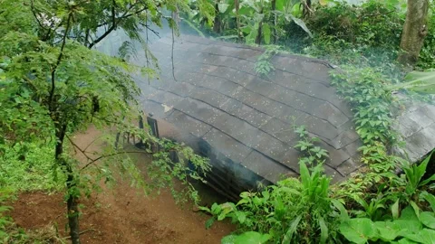 Smoke house Stock Footage 162777811