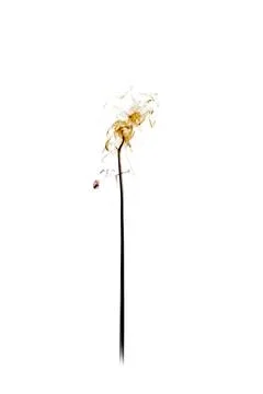 Smoke Stock Illustration