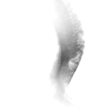 Smoke illustration. Abstract  vector background eps10 Stock Illustration