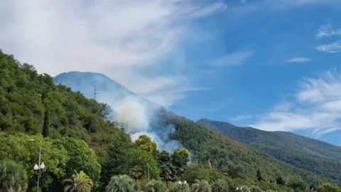 Smoke increasing from forest fire burning on mountainside Stock Footage 286009599