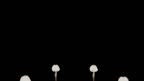 Smoke isolated on black background. circular pattern of threads moving up side Stock Footage 98639729