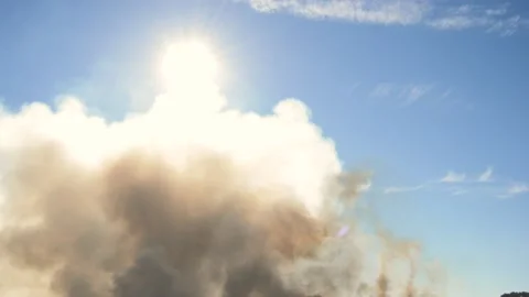 Smoke from a large fire in the nature caused by high summer temperatures. Smo Stock Footage 136097428