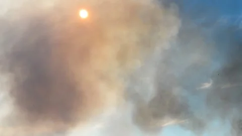 Smoke from a large fire in the nature caused by high summer temperatures. Smo Stock Footage 136097448