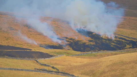 Smoke from moor fire Stock Footage 316039270
