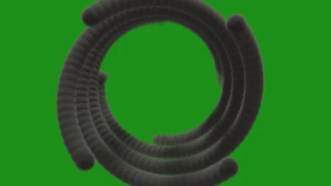 Smoke moving in circle, on green background Stock Footage 247725868