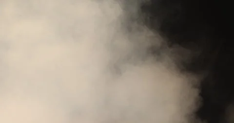 Smoke in the night at Garden Stock Footage 324522024