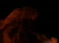 Smoke Orange 06 Loop Web Footage