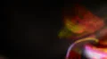 Smoke Orange Mix LM01 Loop HD Footage