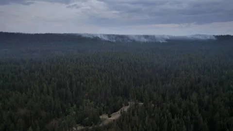 Smoke Over Burning Forest, Clouds Of Thick Smoke Above Stock Footage 307116721