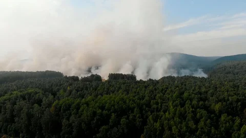Smoke over burning forest, wild fire aerial view. Clouds of thick smoke above Stock Footage