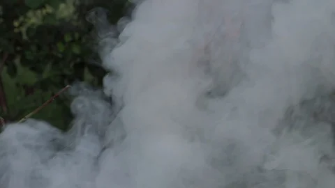 Smoke over the fire Stock Footage 111367290