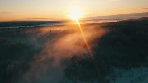 Smoke Over the Forest Video stock 88163055