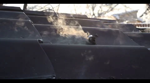 Smoke from the pipe. shish kebabs and picnic in the grill Stock Footage 1067963