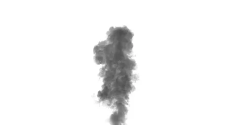 Smoke PLume Rising. Invert version. White background. Black Smoke Video stock 235274035