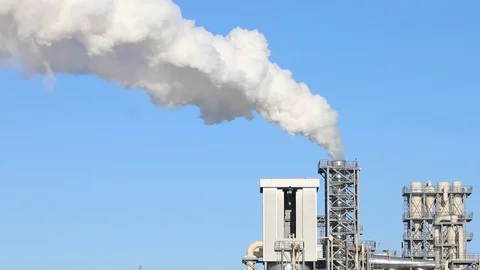 Smoke pollution and birds Video stock 74248784