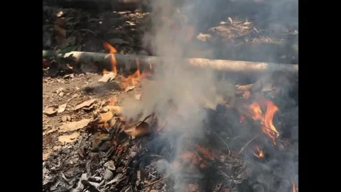 Smoke pollution from burning dry leaf waste Video stock 287959496