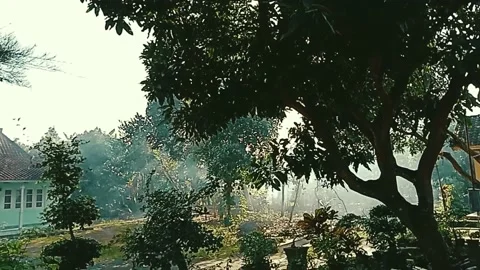 Smoke pollution 動画素材 202176621