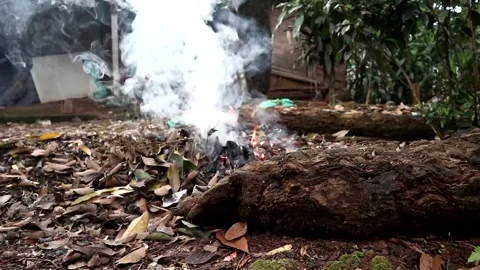 Smoke pollution Stock Footage 237794340