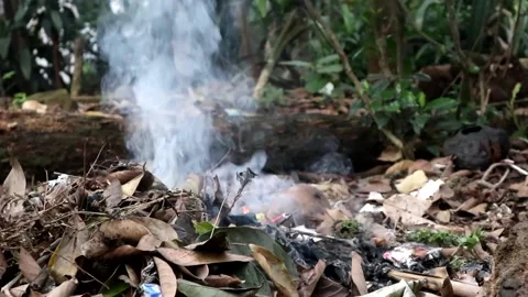 Smoke pollution Stock Footage 237794346