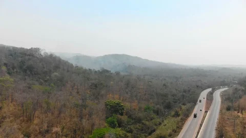 Smoke pollution problem from burning tree leave Stock Footage 121508450