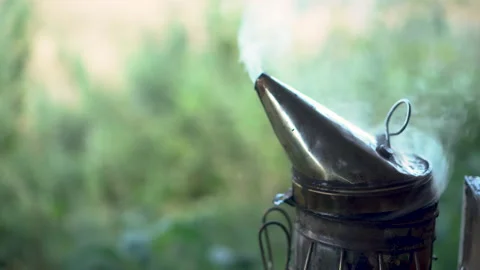 Smoke pot of beekeeper close up. A beekeeper's tool for driving away bees. Stock Footage 136423614