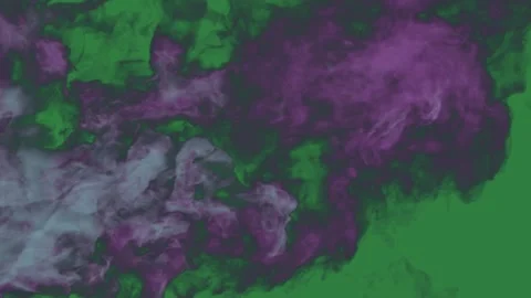 Smoke Professional - Stock Video Element 库存影片 338011489