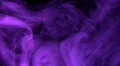 Smoke Purple 01 Loop HD Footage