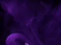 Smoke Purple 03 Loop Web Footage