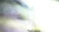 Smoke Purple Mix LM06 Loop HD Footage