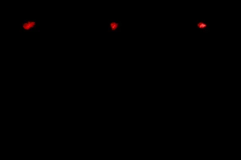 Smoke Red 1 wipe Stock Footage 271329